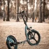 Monopatin Electrico Revel-pro M2 Rodado 20 Y 16 – Suspensión Negro